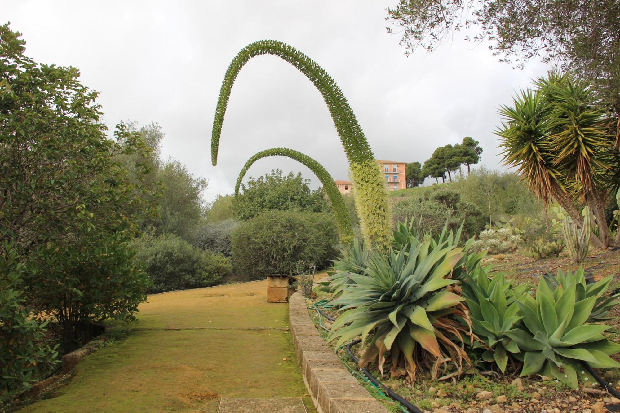B&B Villa Adriana 圣莱昂 外观 照片